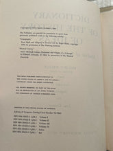 Load image into Gallery viewer, Dictionary of the history of ideas